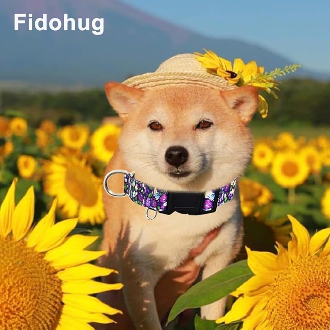 Martingale Collar for Dogs with Buckle Adjustable Nylon Slip No Pull Training Dog Collars (Purple Floral, Small)