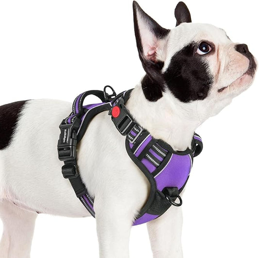 rabbitgoo Dog Harness Small Sized, No Pull Pet Harness with 3 Buckles, Adjustable Soft Padded Vest with Control Handle, Walking Reflective Pet Vest for Small Dogs, Purple, S