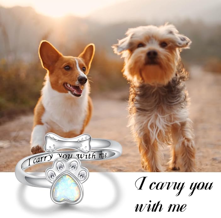Sterling Silver Urn Ring for Dog Ashes: 925 Paw Print Memorial Dog Urn Rings Cremation Jewelry Keepsake Remembrance Gifts for Women Pet Lovers