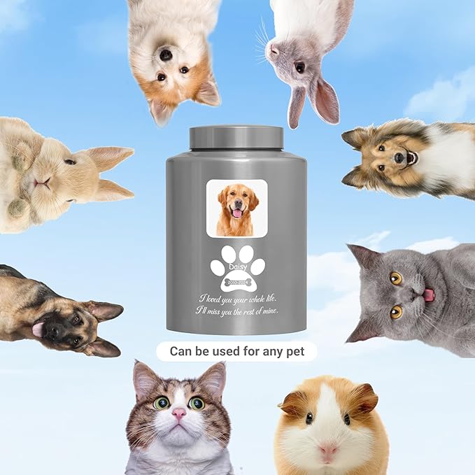 Custom Urns for Dogs and Cats Ashes Personalized Pet Urn with Name and Photo Pet Cremation Memorial Urn for Loss of Dog or Cats Engraved Pet Funeral Urns (Paw)