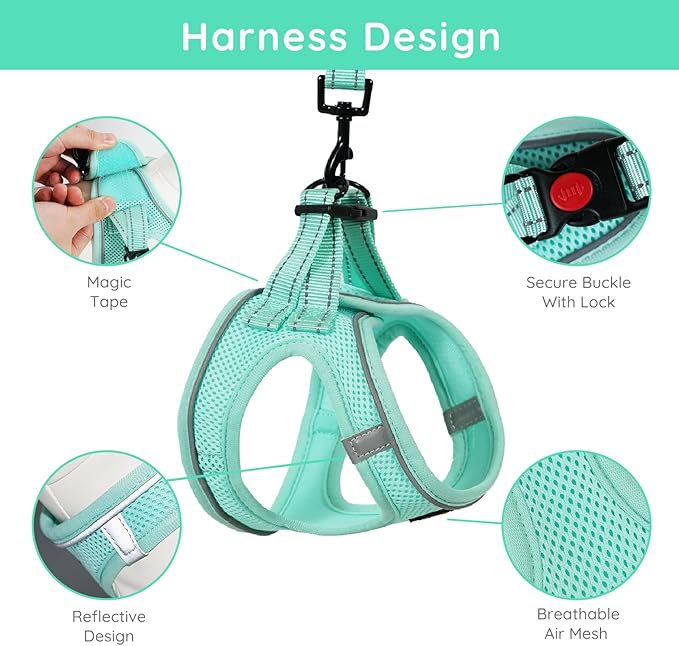 BELLA & PAL Step in Vest Harness for Small and Medium Dogs, No Pull Small Dog Harness with Leash Set, Comfortable Air Mesh Dog Vest Harness with Reflective Strip (Light Green, M)