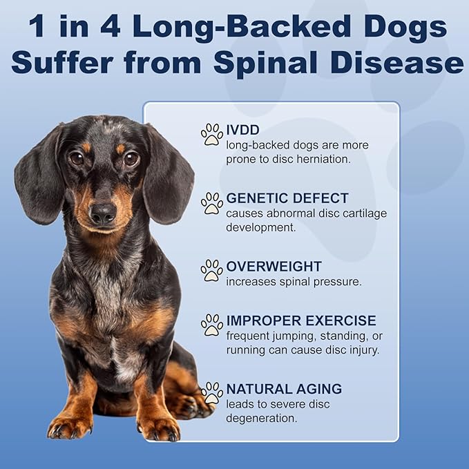Disc Supplement for Dogs – Back & Spine Support with Chondroitin and MSM, IVDD Dog Supplies, Paralyzed Dog Supplies, Ideal for Dachshunds, Corgis, Frenchies & More, 3.5 oz