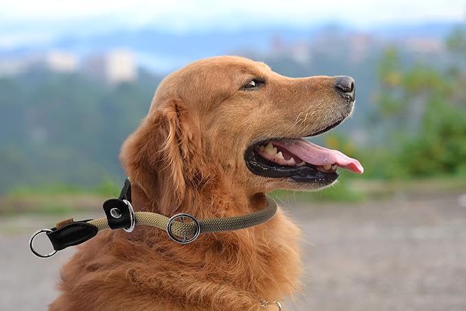 Braided Round Martingale Dog Collar, Training Collar with Slidable Stop Ring and Adjustable Stopper - Ideal for Large Dogs (L(1/2") - 20" Long, Khaki)