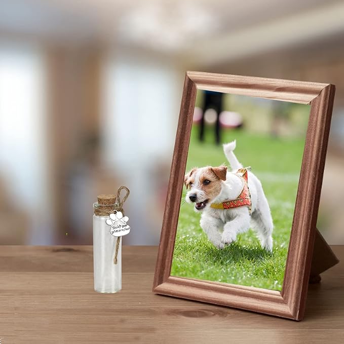 Pet Hair Memorial Bottle,Glass Vial for Ashes Or Hair Dog Or Cat Keepsake Pet Loss Gift (Bottle)