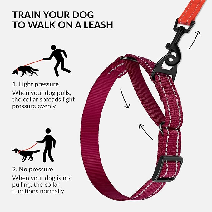 CollarDirect Reflective Martingale Dog Collar Nylon Heavy Duty Training Pet Collars for Small Medium Large Dogs Puppy Black Blue Mint Green Red Pink Purple Dark Red (S, Neck Size 11"-15", Dark Red)