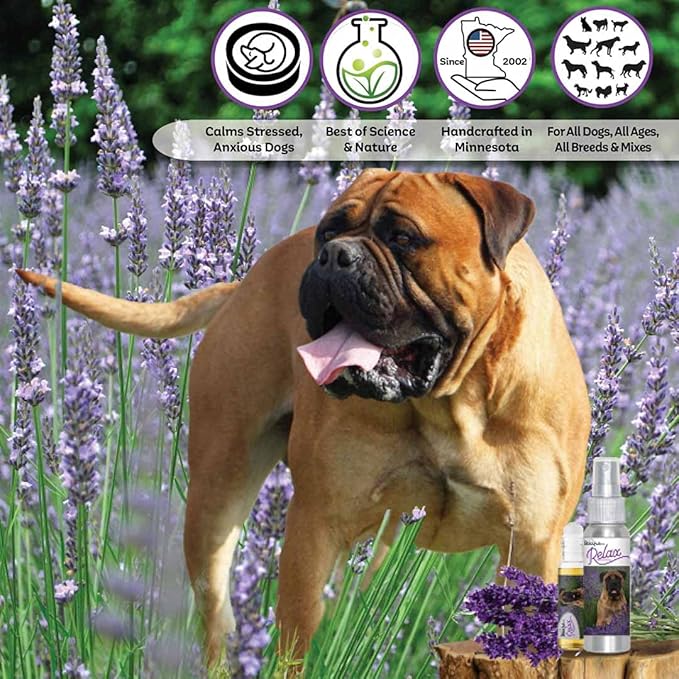 The Blissful Dog Bullmastiff Relax Dog Aromatherapy Spray for Your Dog's Anxiety