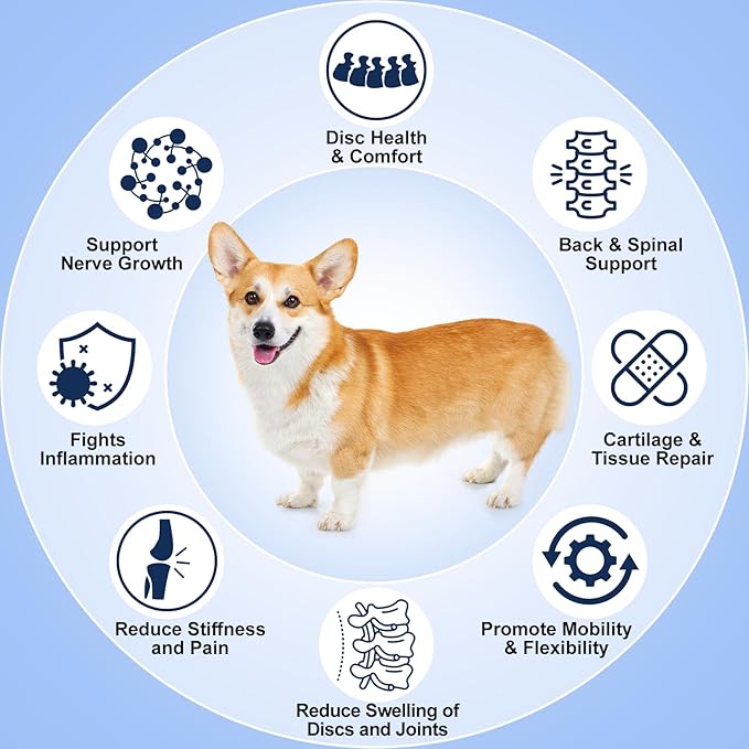 Disc Supplement for Dogs – Back & Spine Support with Chondroitin and MSM, IVDD Dog Supplies, Paralyzed Dog Supplies, Ideal for Dachshunds, Corgis, Frenchies & More, 3.5 oz
