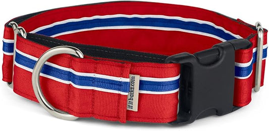If It Barks - 1.5" Martingale Collar for Dogs - Quick Snap Release Buckle - Adjustable - Nylon - Strong and Comfy - Ideal for Training - Made in USA - Small, Patriotic