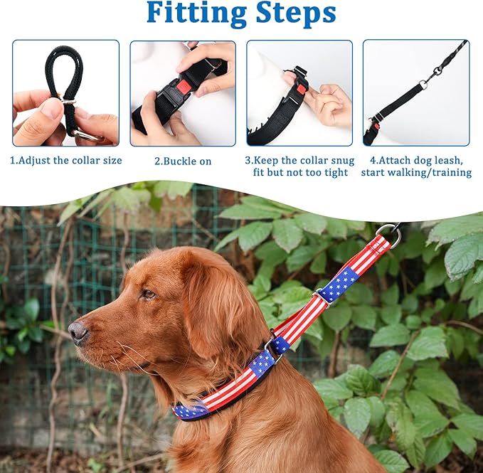 Mayerzon Martingale Prong Collar for Dogs, Patented No Pull Pinch Collar with American Flag and Buckle for Small Medium Large Dogs Training Walking Hunting, Adjustable and Heavy Duty(S, Flag)