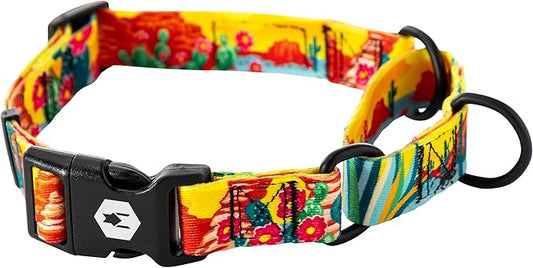 Wolfgang Heavy Duty Martingale Dog Collar with Quick Release Nylon Buckle for Walking & Training, PackLeader Print, Large