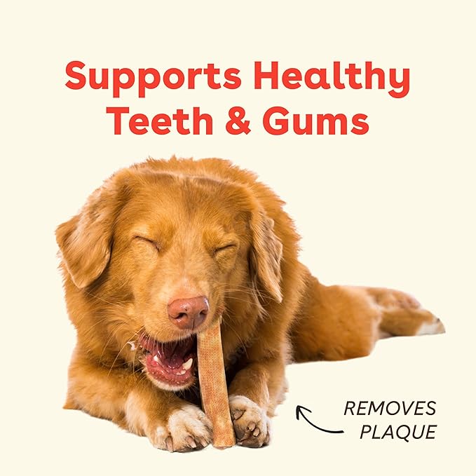Pupford Yak Cheese Chews for Dogs & Teething Puppies, Natural, Long-Lasting Himalayan Dental Treats (3 Pack Small)