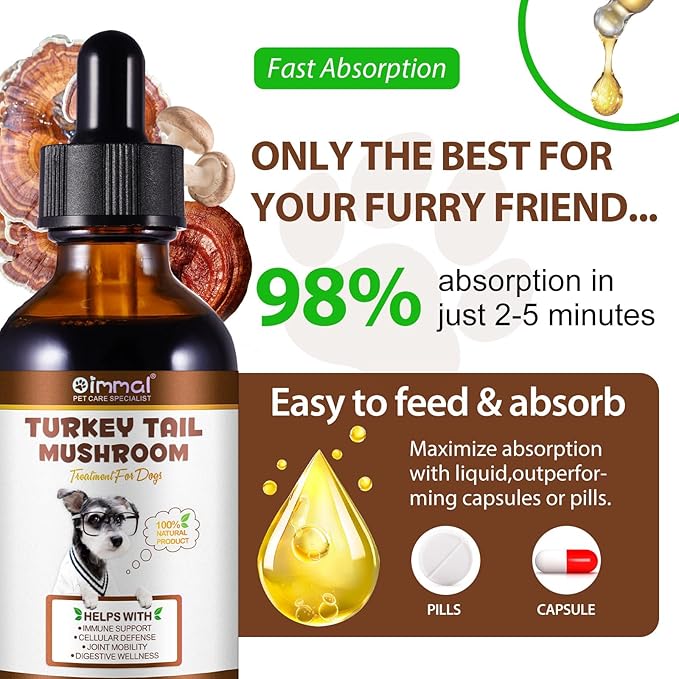 Turkey Tail Mushroom for Dogs, Mushroom Blend, Turmeric & Probiotic for Immune, Digestive & Joint Support, Turkey Tail for Dogs, 60ml