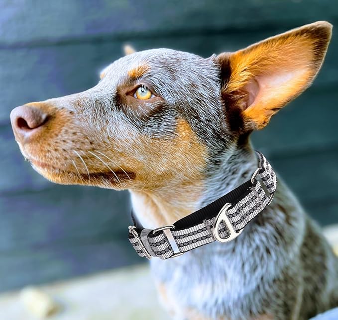 Martingale Dog Collars for Large Dogs, Reflective Nylon No Pull Choke Collar with Padded Comfort & Adjustable Safe Dog Collar No Buckle for Nighttime Walking & Training -Silver L