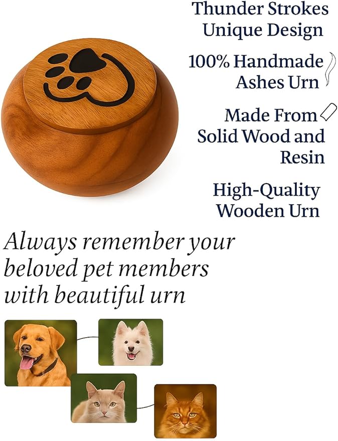 Handcrafted Small Pet Urn for Ashes – Mango Wood Memorial Keepsake for Dog or Cat – Paw & Heart Design – Holds up to 6 lbs – Mini Cremation Urn Box