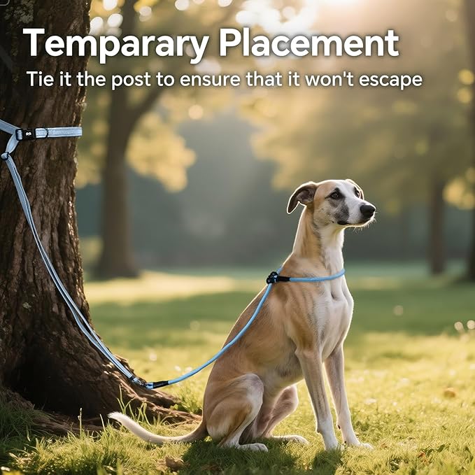 QQPETS Adjustable Slip Lead Dog Leash, Hands Free Waist Leash for Dog Walking, Reflective Training Lead with 360° Swivel Anti-Tangle, 4-7 ft Length for All Breeds