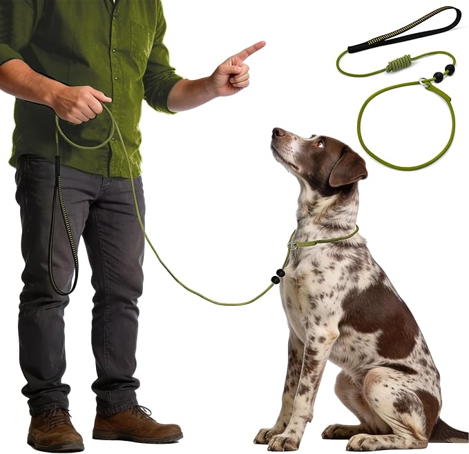 BeauGo|Slip Leads for Dogs|Professional Trainer leashes,Easily Training Your Dog,Designed for Dog Training and NGKC Competition for Leash,Suitable All Dogs for Training Rope(4.7FT Olive Green