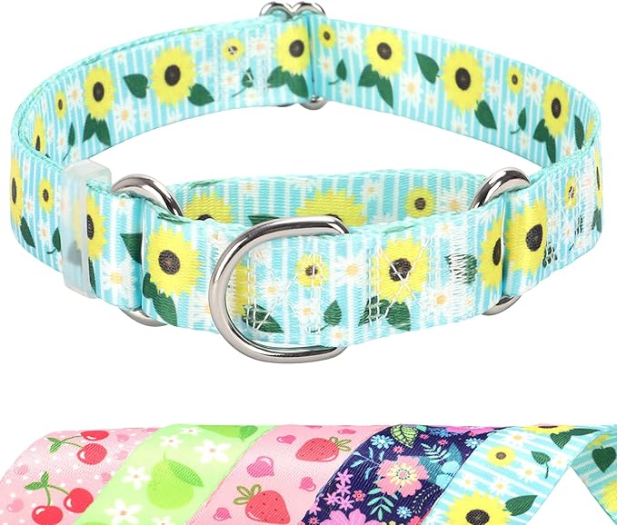 Martingale Dog Collar for Small Dogs，No-Slip Escape Proof Choke No Pull Sunflower Dog Collar for Male and Female Dogs for Walking Running Training -S