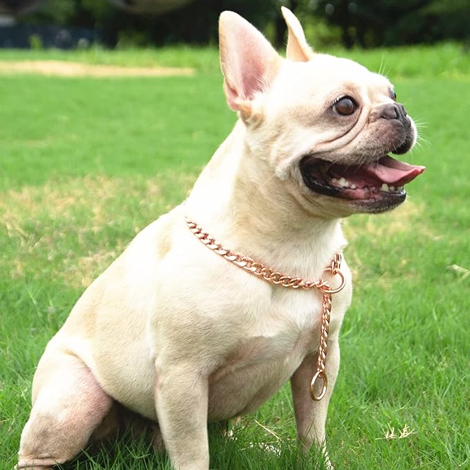 Stainless Steel P Chock Metal Chain -JYHY Dog Necklace Collars Walking Training Pet Supplies for Small Medium Large Dogs (26" (Fits Neck 22" to 24"), Rose Gold
