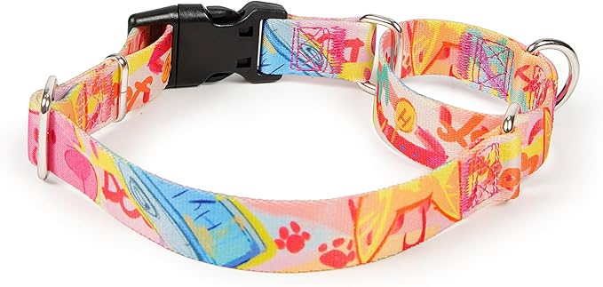 Hyhug Design Pattern Martingale Collar for Small Dogs Escape - Proof| No Slip Durable for Outdoor Use, Ideal for Training & Daily Walks (Colorful Dog, Extra Small)