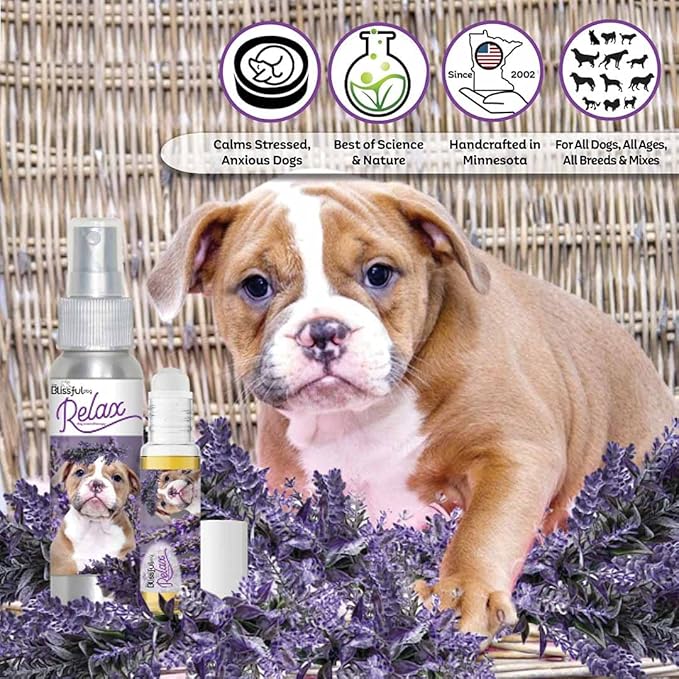 The Blissful Dog American Bulldog Relax Aromatherapy Spray for Your Dog's Anxiety