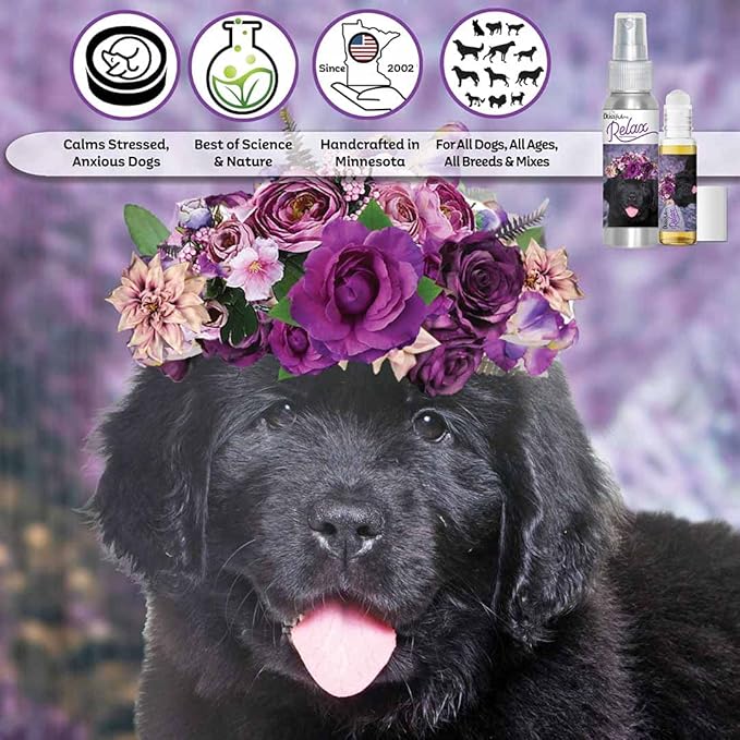 The Blissful Dog Newfoundland Relax Roll-ON Aromatherapy for Dogs - Anxiety Relief for Dogs