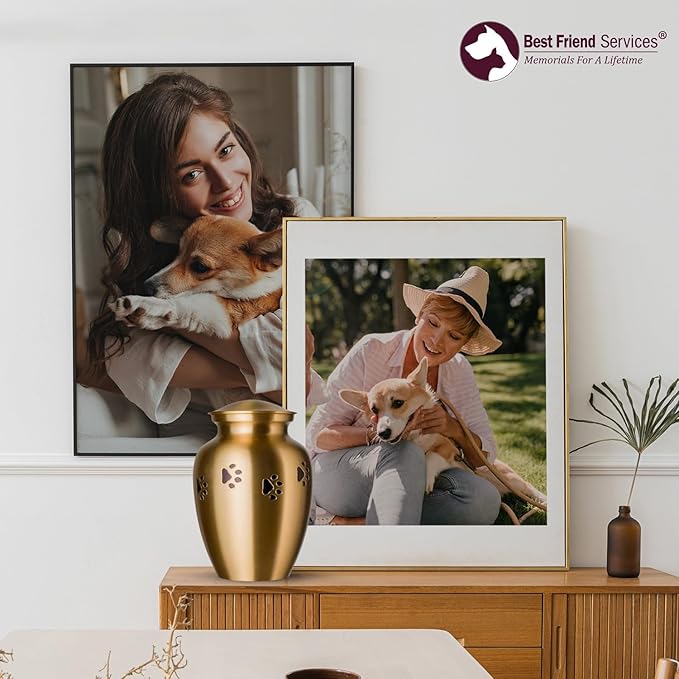 Ottillie Paws Legacy Series Pet Urn for Dogs, Handmade Brass Memorial Cremation Urn (Medium - Pets up to 65 lbs, Brass, Horizontal, Ebony)