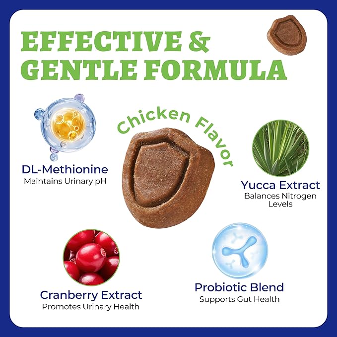 260 Bites Green Grass Bites for Dogs - Grass Savers for Dog Urine, Green Lawn Chews with Crabberry & Probiotic & Digestive Enzymes for Urinary Tract & Bladder - Chicken Flavor