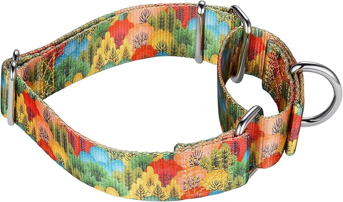 Mikivery Martingale Collar for Dogs 1 inch Sturdy Durable Collars Medium and Large Breed for Walking Training Outdoor Daily Use