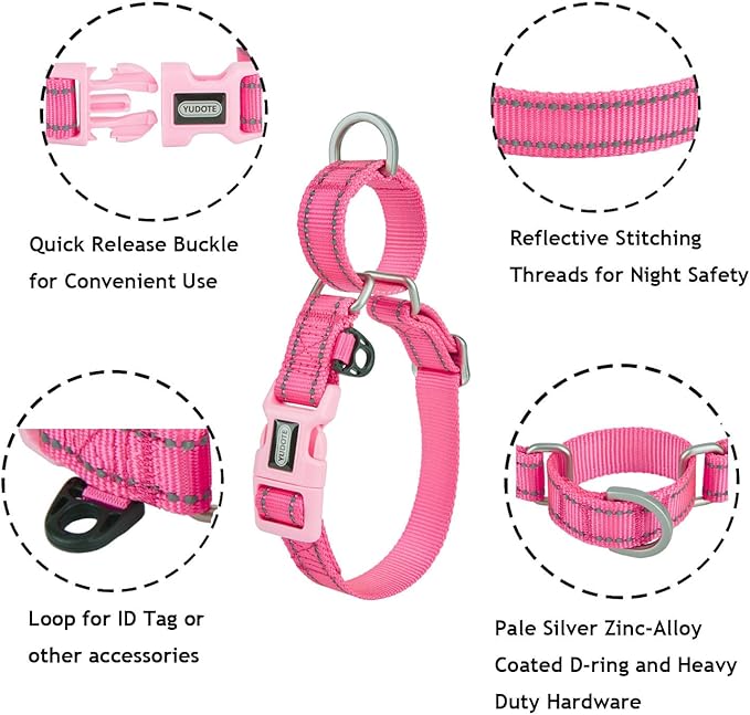 Reflective Martingale Collar for Dogs with Quick Snap Buckle Anti-Pull Nylon Safe Slip Collars for Easy Walking,Hot Pink,XSmall