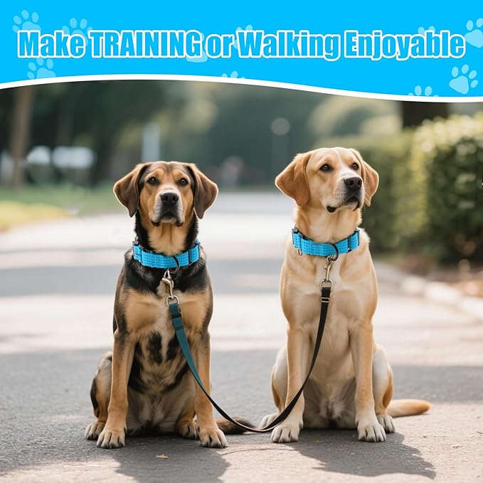 Martingale Collar for Dogs, Reflective Heavy Duty with Quick Release Nylon Buckle, No Pull Training Choker for Walking, Training, Sky Blue,M