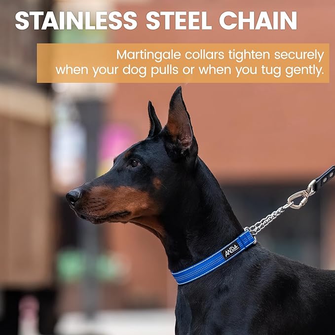 ANDA Martingale Collar for Dogs, Adjustable with Reflective Stainless Steel Chain, No-Pull Escape-Proof Training Collar for Medium and Large Breeds (Blue, Medium)