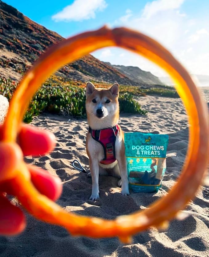 hotspot pets Bully Stick Rings for Dogs - (20 Pack) 4" Premium All Natural Long Lasting Twisted Beef Pizzle Dog Chew Treats, Low Odor - Grain Free Fully Digestible Rawhide Alternative - Thick Circles