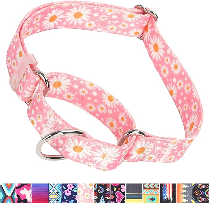 Martingale Collar for Dogs, No-Slip Escape Proof Choke No Pull Cinch Soft Nylon Dog Training Collars Adjustable for Small Medium Large Breed Pet Dogs, Pink Daisy M
