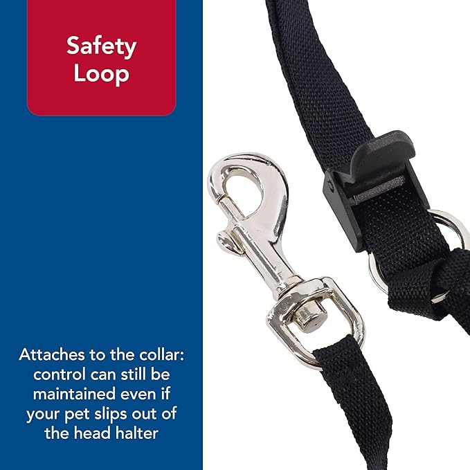 Coastal Pet Walk 'n Train Dog Head Halter - Head Colllar Dog Leader - No-Pull Pet Harness - Quick-Drying Polyester - Black - Medium