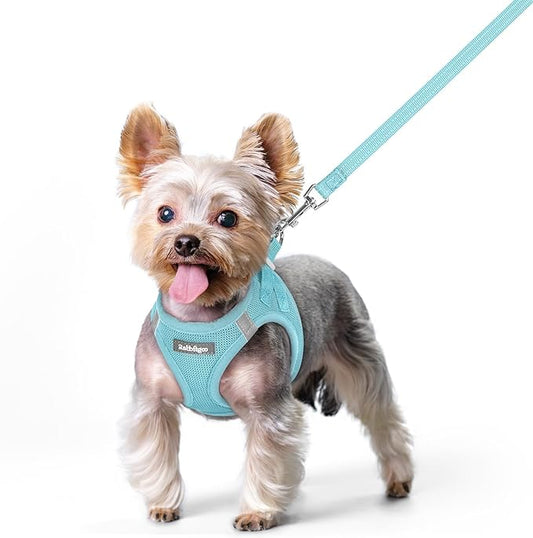 rabbitgoo Dog Harness Small Sized and Leash Set, Step in Soft Light Puppy Vest, Breathable Mesh Pet Harness, Reflective for Safe Easy Walking, Mint Blue XS