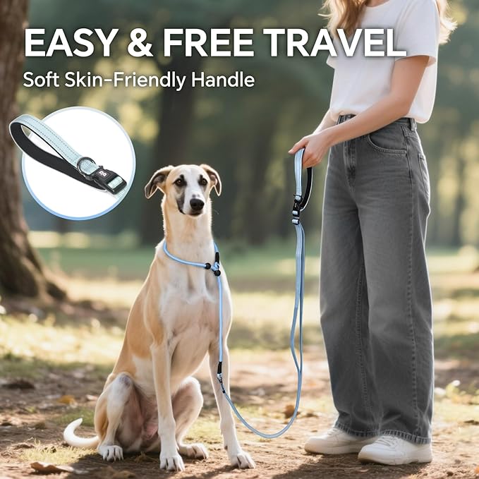 QQPETS Adjustable Slip Lead Dog Leash, Hands Free Waist Leash for Dog Walking, Reflective Training Lead with 360° Swivel Anti-Tangle, 4-7 ft Length for All Breeds