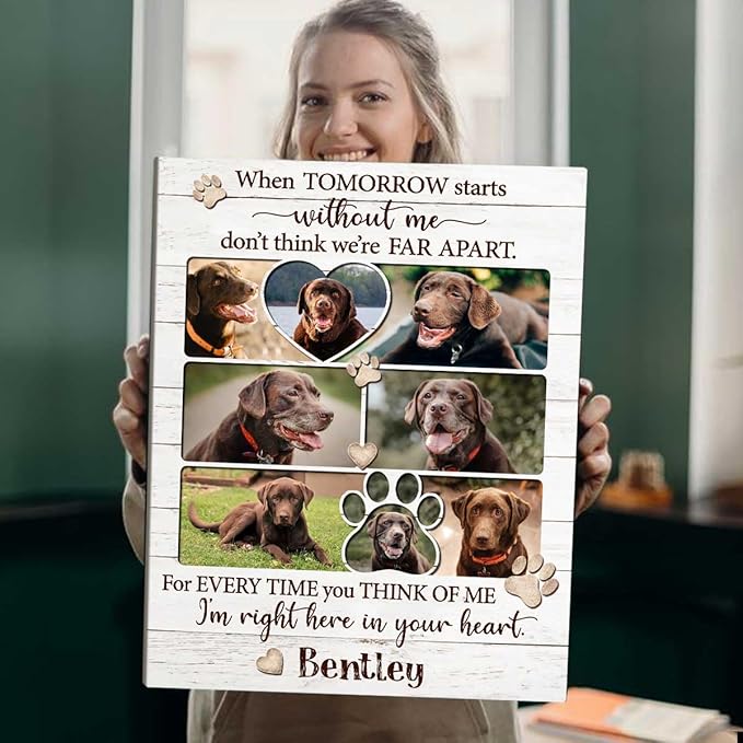Benicee Shop In Memory Of Pet Memorial Photo Collage, Personalized Dog Loss Gift, Sympathy Gifts for Pet Lovers, Changing Colorful Background to Paint Loving Memory, Ideal Cat Mom Gifts (BG2)