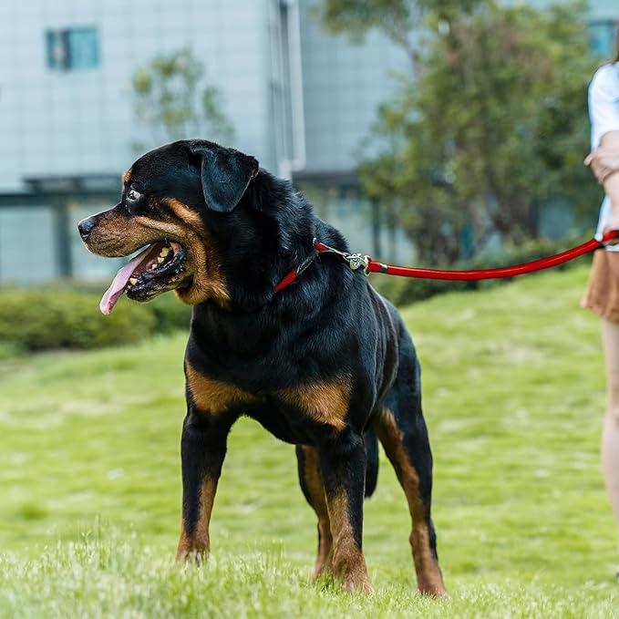Dog Leash, Braided Rope Traction – Walking Training Lead for Medium/Large Dogs ((1/2") x 6FT, Red)