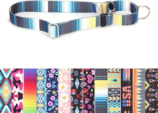 Dog Choker Collar, No-Slip Escape Proof Choke No Pull Cinch Soft Nylon Dog Training Martingale Collars Adjustable for Small Medium Large Breed Pet Dogs, Blue Gradient M