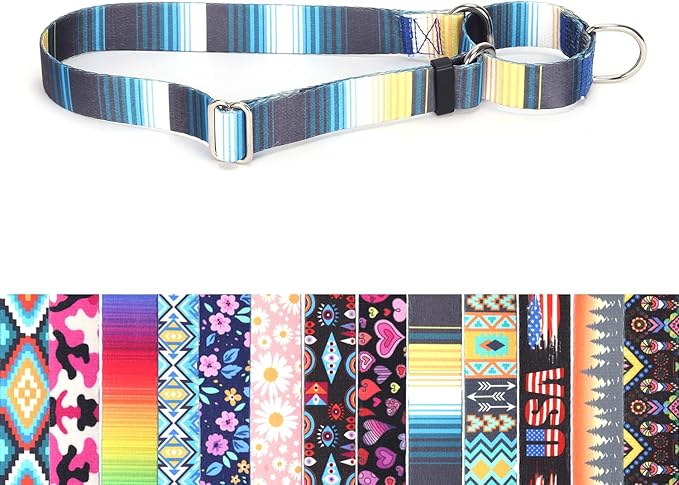 Dog Choker Collar, No-Slip Escape Proof Choke No Pull Cinch Soft Nylon Dog Training Martingale Collars Adjustable for Small Medium Large Breed Pet Dogs, Blue Gradient S