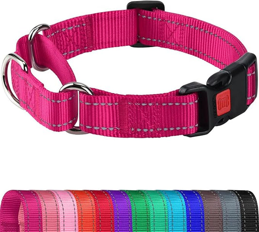 Joytale Martingale Collar for Dogs, Reflective Heavy Duty for Safety, Quick Release Buckle, Adjustable Nylon Collars for Medium Dogs Walking Training, Hotpink,M