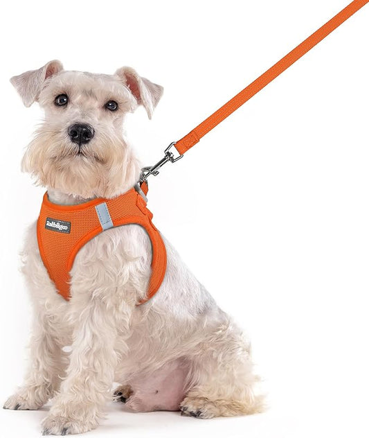 rabbitgoo Dog Harness Medium Sized and Leash Set, Step in Soft Light Puppy Vest, Breathable Mesh Pet Harness, Reflective for Safe Easy Walking, Orange XXL