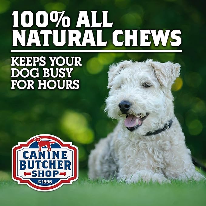 Pig Ears for Dogs Large Made in USA, Sourced in USA Natural Dog Treats, Dog Chew Toys for Aggressive Chewers (18-Pack)