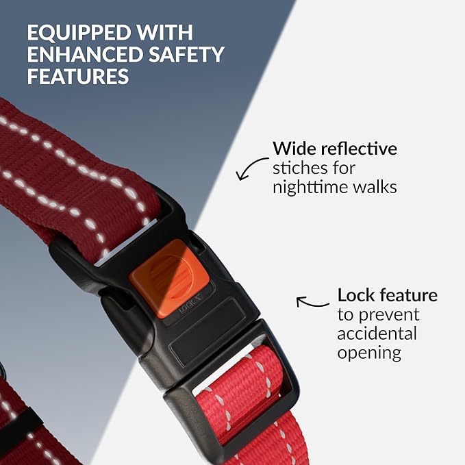 CollarDirect Martingale Dog Collar with Stainless Steel Chain and Quick Release Buckle - Reflective Collar for Large, Medium, Small Dogs - Red, Medium (Neck Size 14"-17")