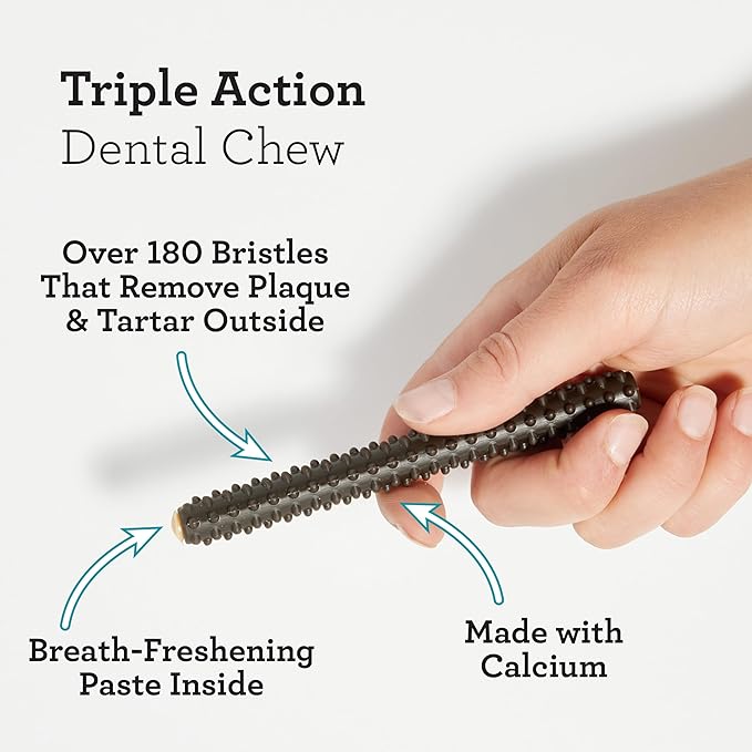 DreamBone Triple Action Dental Sticks Charcoal, 10 Count, Rawhide-Free Chews for Small and Medium Sized Dogs Freshens Breath
