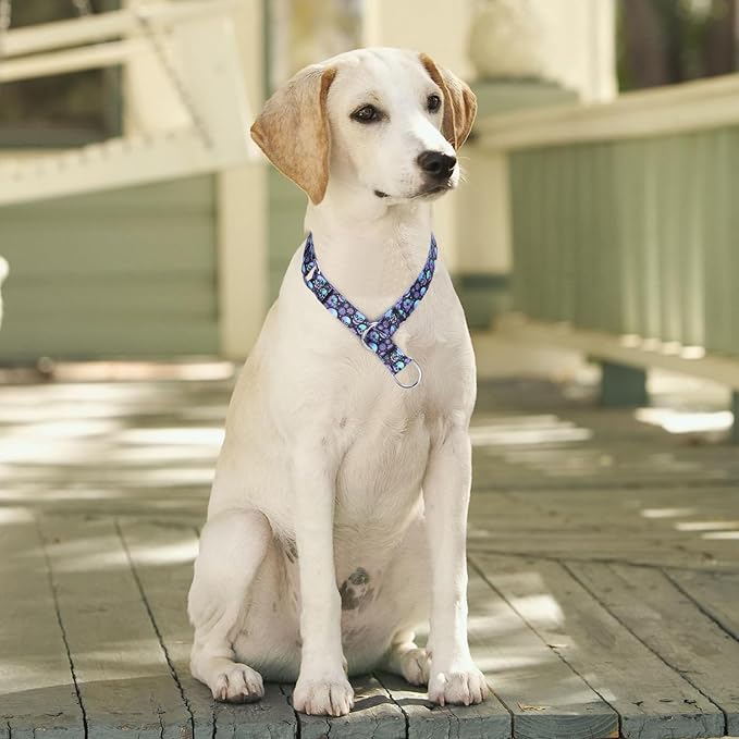 No Pull Martingale Collar with Slidable Stop Ring for Small, Medium, Large Dogs (L, Skull)