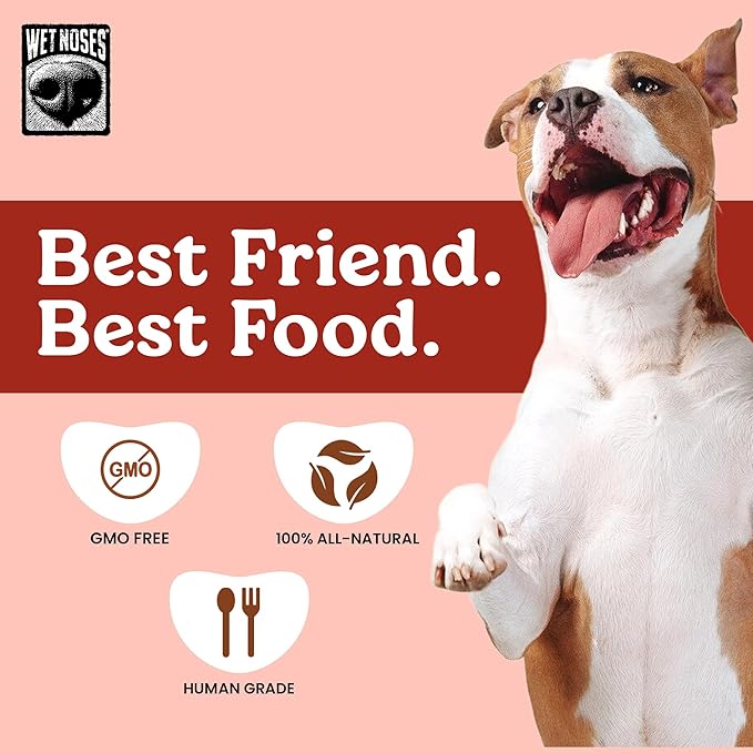 Wet Noses Organic Crunchy Dog Treats – All-Natural, Human-Grade, Non-GMO, Healthy Training & Delicious Snacks for Dogs, for All Dog Sizes & Breeds –Roasted Beef, 14oz (2 Pack)