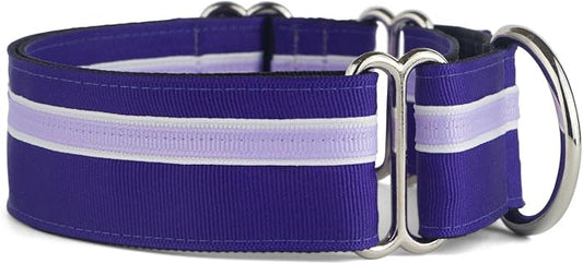 If It Barks - 1.5" Martingale Collar for Dogs - Adjustable - Nylon - Strong and Comfy - Ideal for Training - Made in USA - Medium, Grape Crush