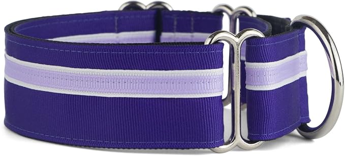 If It Barks - 1.5" Martingale Collar for Dogs - Adjustable - Nylon - Strong and Comfy - Ideal for Training - Made in USA - Large, Grape Crush