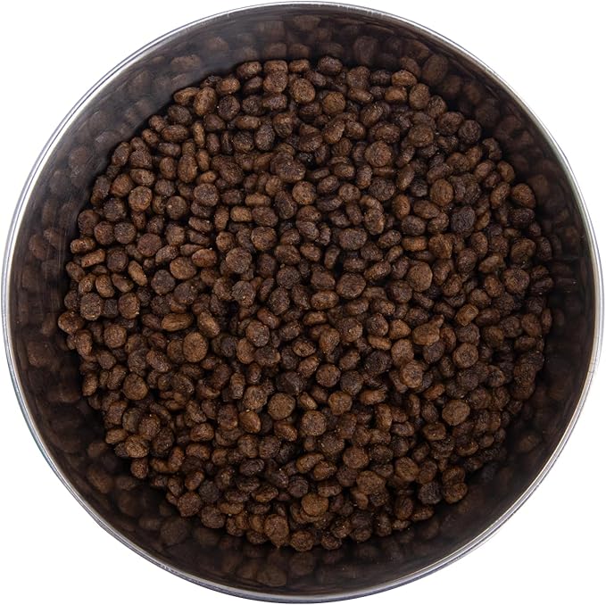 Health Extension Grain Free Buffalo & Whitefish Little Bites Small Kibble Formula with 30+ Superfoods and Probiotics for Teacups, Toys & Miniature Dogs (3.5 lb)